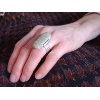 WEB Ringe 009